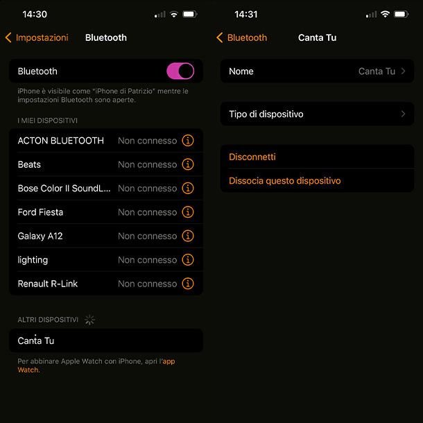 Echi armonici fra iPhone e Canta Tu