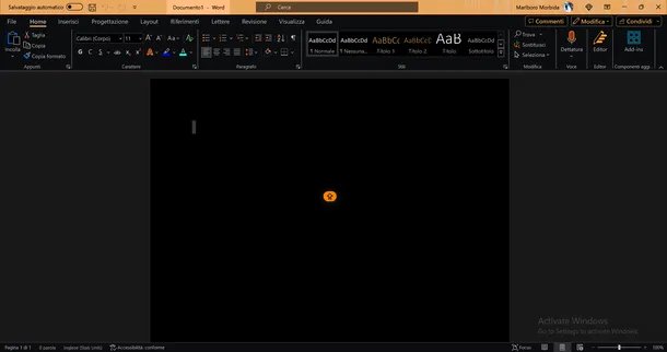 Microsoft Word screen