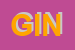 Logo di GINO