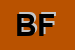 Logo di BORIO FLAVIA