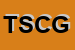 Logo di TCS SNC DI COLLI GIOVANNI E ROSSOTTI ROSA