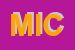 Logo di MICROINT