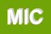 Logo di MICROINT