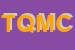 Logo di T Q M CONSULT SPA