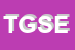 Logo di T G SERVICE ELABORAZIONE DATI DI VACCANI ANTONELLA e C SAS