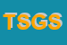 Logo di TRADING SERVICES GROUP SRL