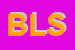 Logo di BLS SRL