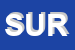 Logo di SURVEYOR (SRL)