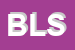 Logo di BELT LIMOUSINE SYSTEM SRL