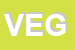 Logo di VEGA SPA