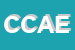 Logo di CAI CONSULENZE ASSICURAZIONI ED INFORMATICA SAS DI BENEDETTO CALOIA