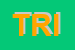Logo di TRIANGOLOARTE SRL