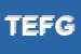 Logo di TERMOIDRAULICA EFFEGI DI FRANZONI E GOZIO SNC