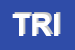 Logo di TRIAD SRL