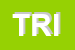 Logo di TRIMEC (SPA)