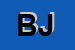 Logo di BAUMGARTNER JOHANN