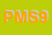 Logo di P M S 91 SRL