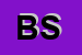 Logo di BS SISTEMI
