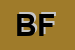 Logo di BORIN FRANCESCO