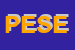 Logo di PADOVAN ENZO SOCIETA-EUROPA