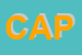 Logo di CAPRICCI