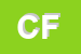 Logo di CASTELLARI FEDERICA