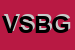 Logo di VIDEOSERVICE SNC DI BORTOLINI GABRIELE e C