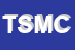 Logo di TELETTRONICA DI SCURTI MASSIMO e C SNC