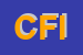 Logo di CBF DI FAGGIONATO IVANO