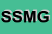 Logo di STS -SAS DI MIRELLA GUERZONI E C