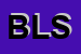 Logo di BLUE LIGHT SRL