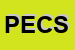 Logo di PASQUINELLI EZIO e C SAS