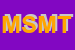 Logo di MT SERVICE DI MANUELA TRULLI e C SAS