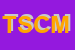Logo di TECHO SNC DI CORICELLI M e FLAMINI A
