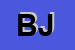 Logo di BURGE JAMES
