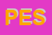 Logo di PICENA EXPRESS SRL