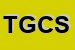 Logo di TOGNOZZI G e C -SNC