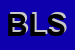 Logo di BALDINI LEANDRO -SNC