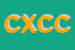 Logo di CENTO X CENTO CAPELLI DI SILVY E FRANCESCA