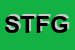 Logo di STUDIO TECNICO -F e G