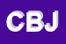 Logo di CAVALLUCCI BABY JUNIOR