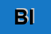 Logo di BIAGGI IVO