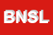 Logo di BS NETWORK SNC DI LICCARDO BIAGIO e D-ANDREA MARINA