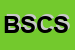 Logo di BIASIOLI SILVANO e C SNC