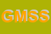 Logo di GSI MANAGEMENT E SERVICE SRL