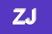 Logo di ZHANG JINLE