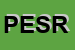 Logo di PIZZA EXPRESS SNC DI RAPACCIUOLO PASQUALE