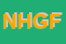 Logo di NEW HAIR GENERATION DI FIZZANI ANGELA