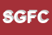 Logo di SALM DI GALIANO FRANCESCO E C SNC