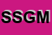 Logo di SGM SOCIETA' GESTIONE MULTIPLA SPA